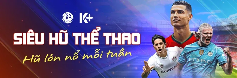 Hoàn trả PS991